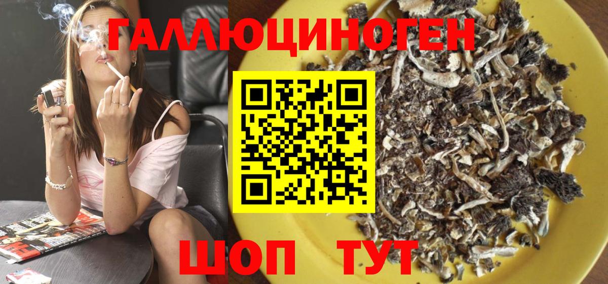 Галлюциногенные грибы Psilocybe Джанкой